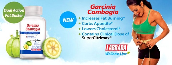 garcinia cambogia integratore che inibisce la sintesi del grasso diminuendo il suo accumulo